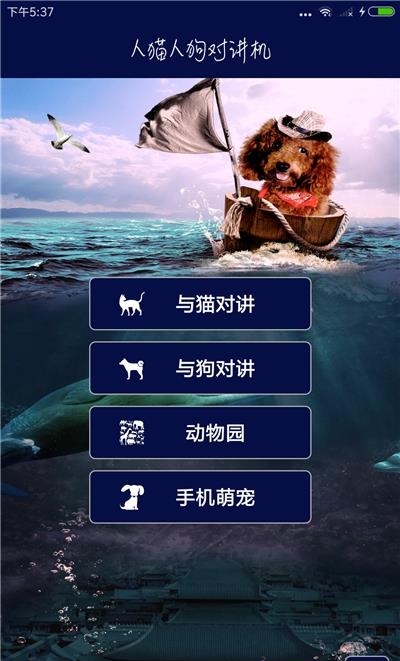 人猫人狗对讲机