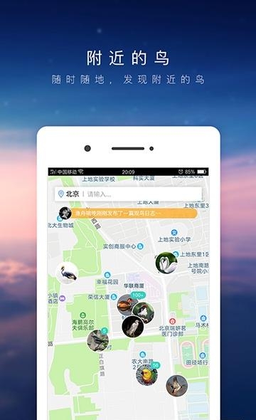 爱鸟  v3.5.1图1