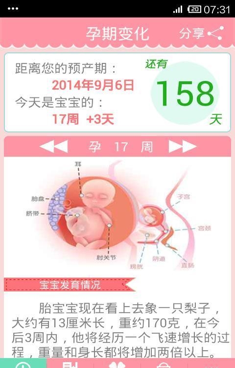 孕妇伴侣  v5.0.2图4