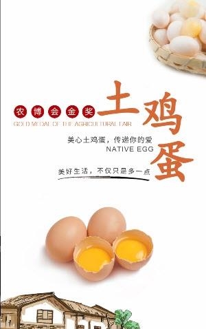 美心土鸡蛋