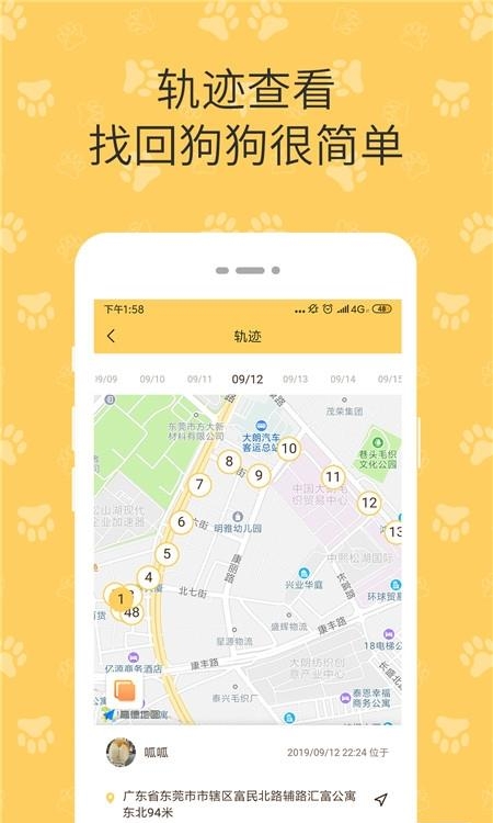 陪彼宠物