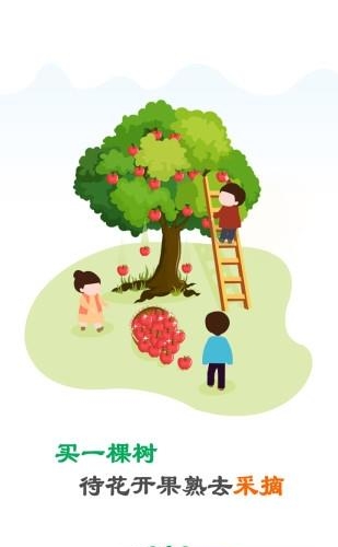 点林  v1.3.3图3