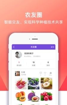 点筹农场  v1.0图1