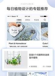 花田小憩