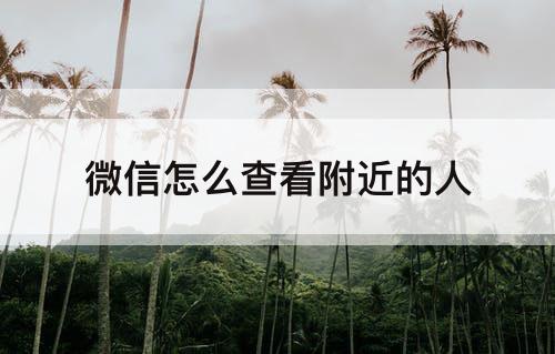 微信怎么查看附近的人