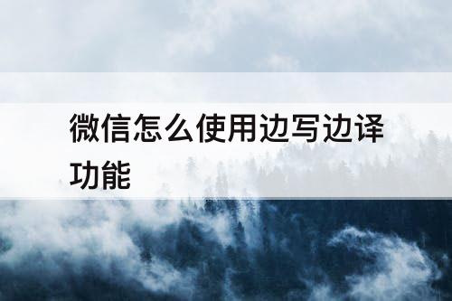 微信怎么使用边写边译功能