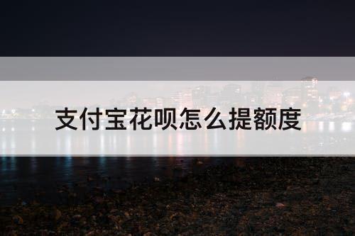 支付宝花呗怎么提额度