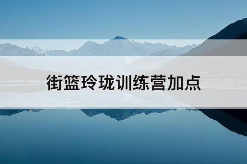 街篮玲珑训练营加点