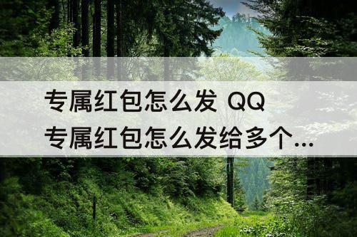 专属红包怎么发 QQ专属红包怎么发给多个人