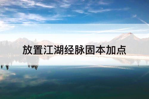 放置江湖经脉固本加点