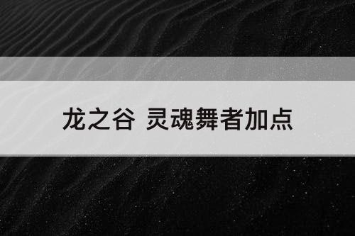 龙之谷 灵魂舞者加点