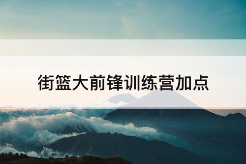 街篮大前锋训练营加点