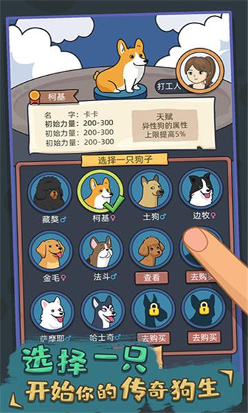 狗生模拟器  v1.0.4图2