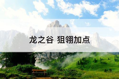 龙之谷 狙翎加点