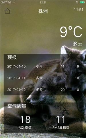 每日天气