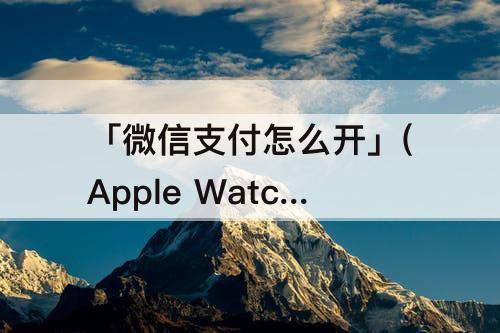 「微信支付怎么开」(Apple Watch微信支付怎么开启)