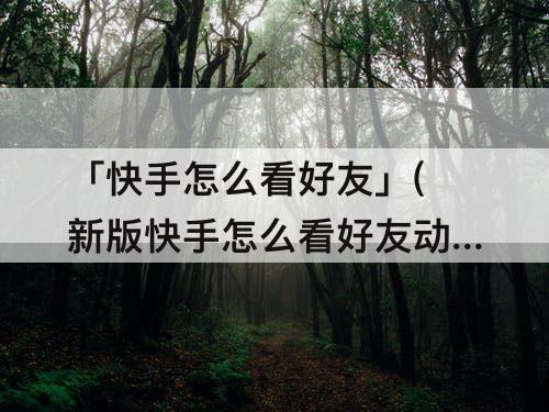 「快手怎么看好友」(新版快手怎么看好友动态)