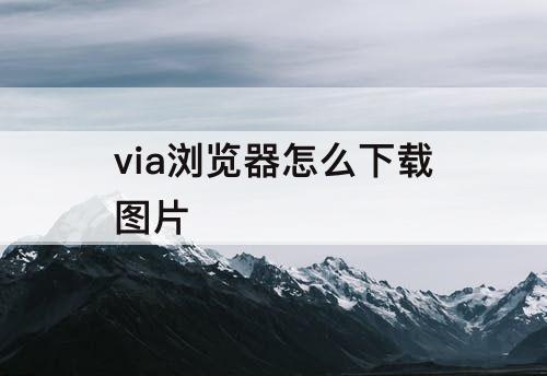 via浏览器怎么下载图片