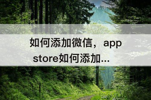 如何添加微信，app store如何添加微信支付