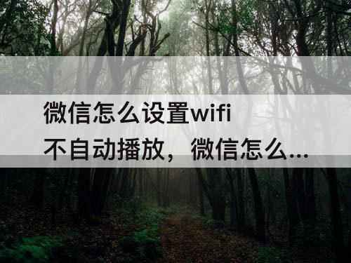 微信怎么设置wifi不自动播放，微信怎么设置wifi不自动播放视频
