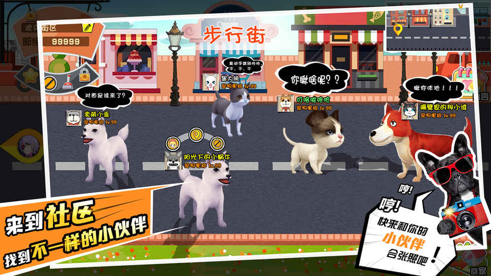 宠物天团  v0.6.4图2