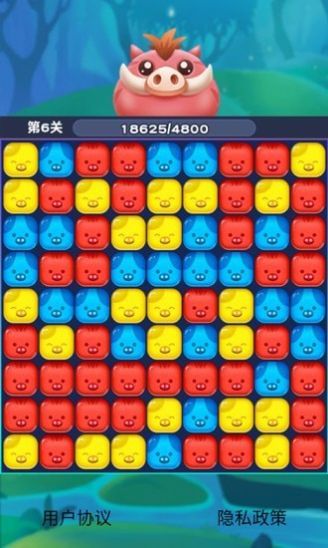 猪猪爱消消  v1.0.0图1