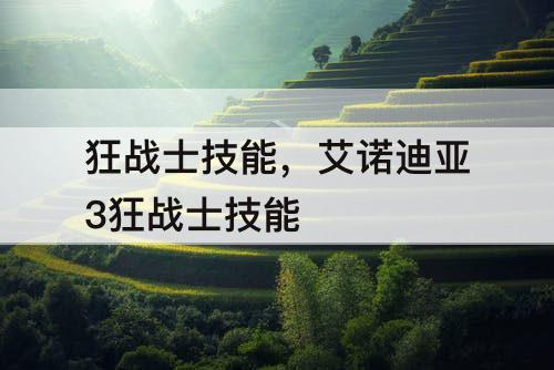 狂战士技能，艾诺迪亚3狂战士技能