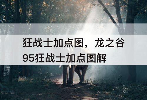 狂战士加点图，龙之谷95狂战士加点图解