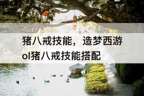 猪八戒技能，造梦西游ol猪八戒技能搭配