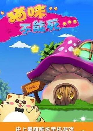 猫咪不能死  v1.0图4