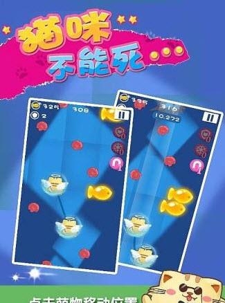 猫咪不能死