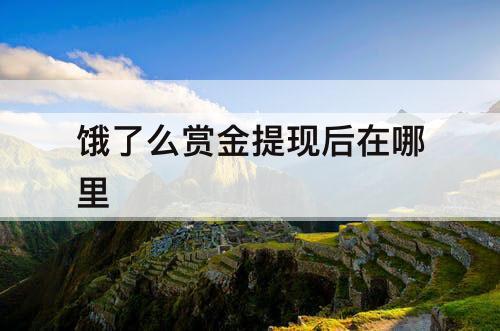 饿了么赏金提现后在哪里