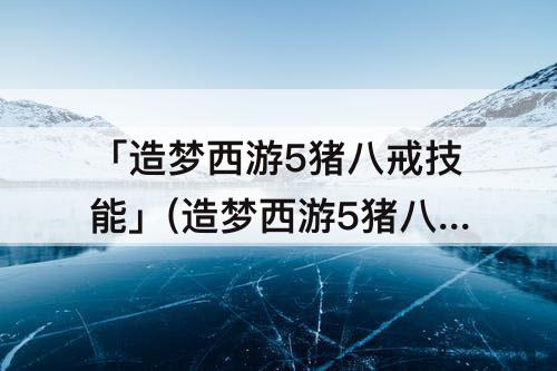 「造梦西游5猪八戒技能」(造梦西游5猪八戒技能秘籍)