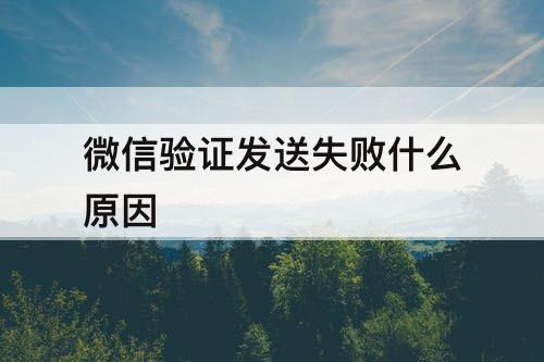 微信验证发送失败什么原因