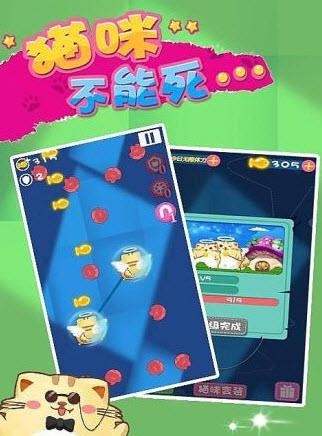 猫咪不能死  v1.0图1