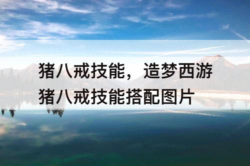 猪八戒技能，造梦西游猪八戒技能搭配图片
