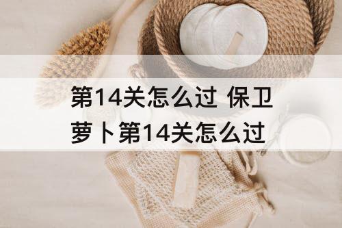 第14关怎么过 保卫萝卜第14关怎么过
