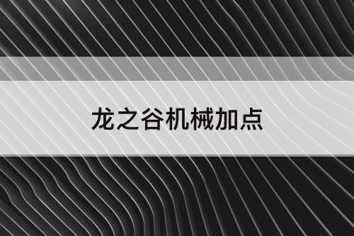 龙之谷机械加点