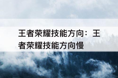 王者荣耀技能方向：王者荣耀技能方向慢