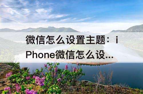 微信怎么设置主题：iPhone微信怎么设置主题背景