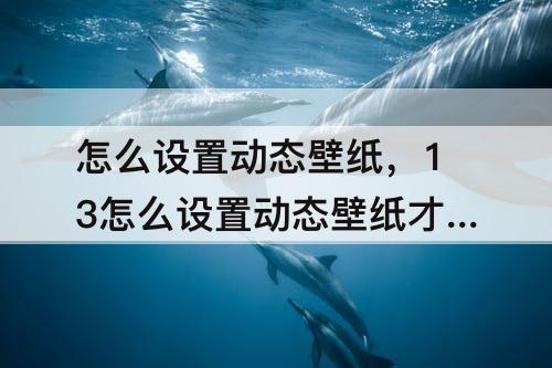 怎么设置动态壁纸，13怎么设置动态壁纸才有声音