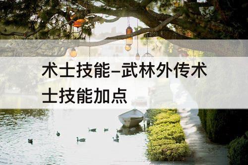 术士技能-武林外传术士技能加点
