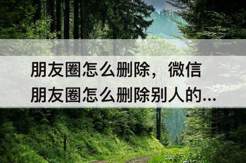 朋友圈怎么删除，微信朋友圈怎么删除别人的评论