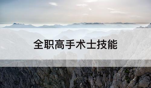 全职高手术士技能