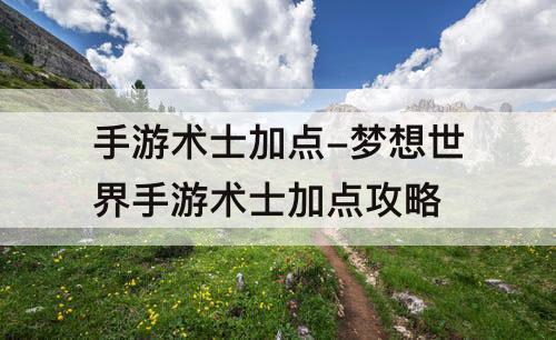 手游术士加点-梦想世界手游术士加点攻略
