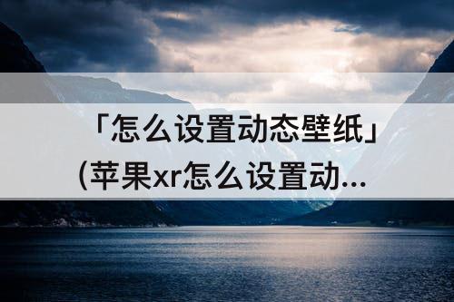 「怎么设置动态壁纸」(苹果xr怎么设置动态壁纸怎么不动)