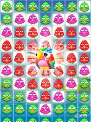 小鸟也疯狂  v1.2图1