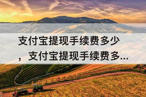 支付宝提现手续费多少，支付宝提现手续费多少一百万