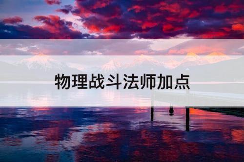 物理战斗法师加点