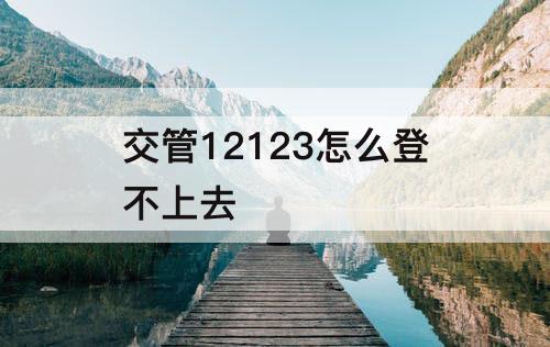 交管12123怎么登不上去